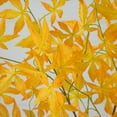 thumbnail image 5 of Nearly Natural Maple Potted Artificial Tree - 5' - Orange and Red, 5 of 7