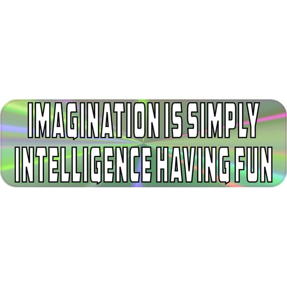 10in x 3in Imagination Intelligence Having Fun Magnet