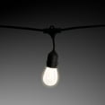 thumbnail image 2 of Crosslight IDD193063BM Classic Bulb LED String Lights, Warm White, 2 of 6