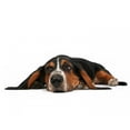 thumbnail image 2 of Bassett H)ound Lying down Wall Mural Decal by Wallmonkeys Vinyl Peel and Stick Graphic (18 in W x 6 in H), 2 of 4
