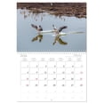 thumbnail image 6 of Grey geese in native environment (Monthly Wall Calendar 2026 16.5 x 23.4 (open)), CALVENDO 14 Month Calendar, 6 of 9