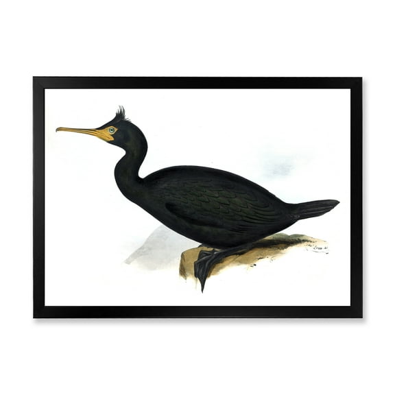 Designart 'Ancient Bird Life IV' Traditional Framed Art Print