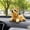 yellow, variant on Bobblehead for Cars, Bull Terrier Shaking Head Dog Figurine, Smooth Resin Dashboard Collectible Ornament for Car Interior, Home and Office