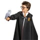thumbnail image 2 of Accesorio de disfraz: disfraz de búho de peluche de Hedwig Harry Potter, 2 of 6