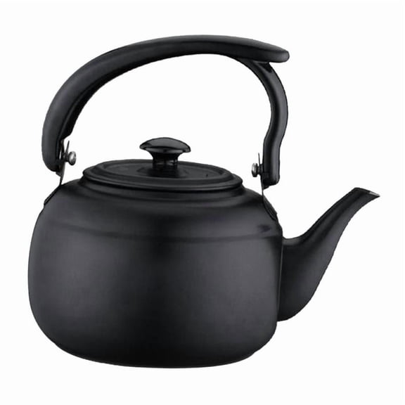 Tea Kettle Stainless Steel Teapot Teakettle Hot Pot for Stovetop Rust Resistant, Fast Boiling, Home Office Use, 1
