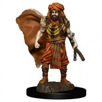 WizKids WZK93031 Dungeons & Dragons IR Premium Human Druid Male Miniatures