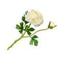 thumbnail image 4 of 2-head Artificial Camellia Bouquet Simulation bouquet artificial flower Flower Table Centerpiece Fake Floral Decor, Creamy White, 4 of 7