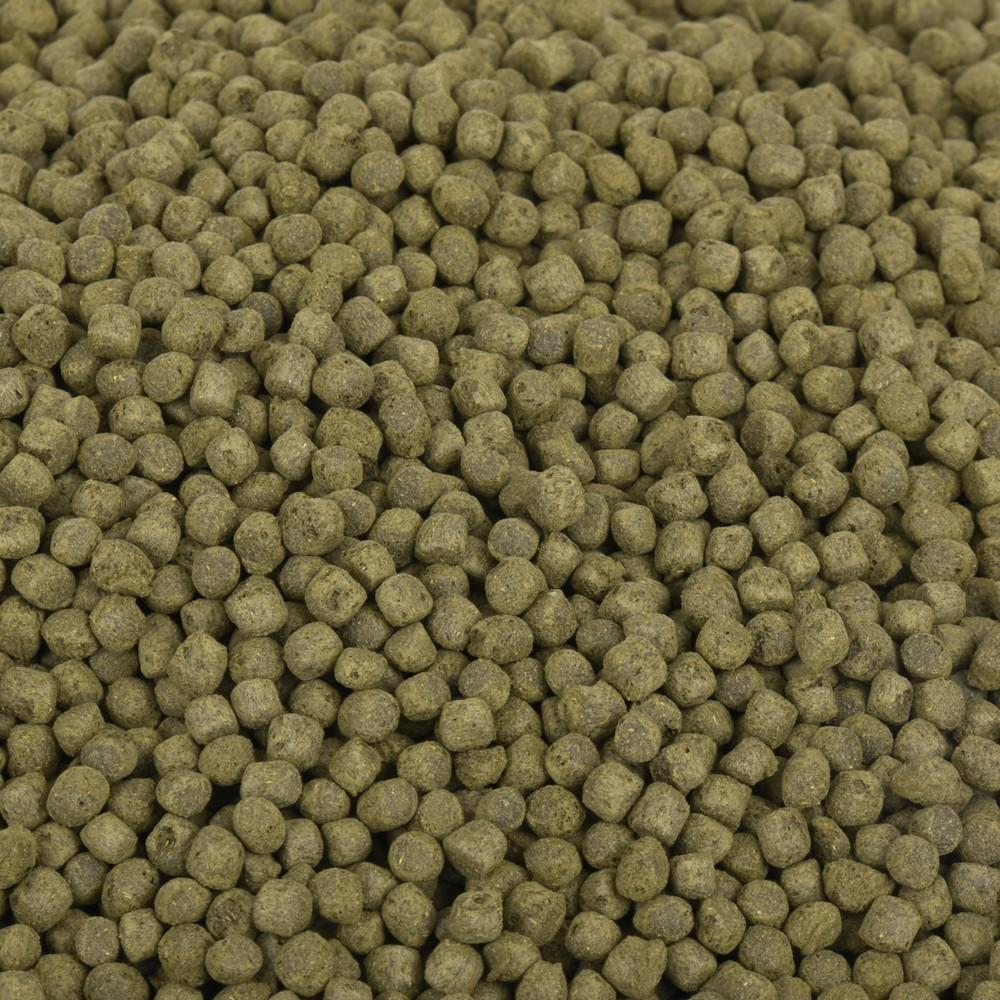 Aqua Master Staple Koi Food (5kg) - Medium Pellet
