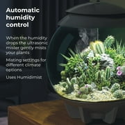 biOrb AIR 30 Terrarium - Grey, Acrylic