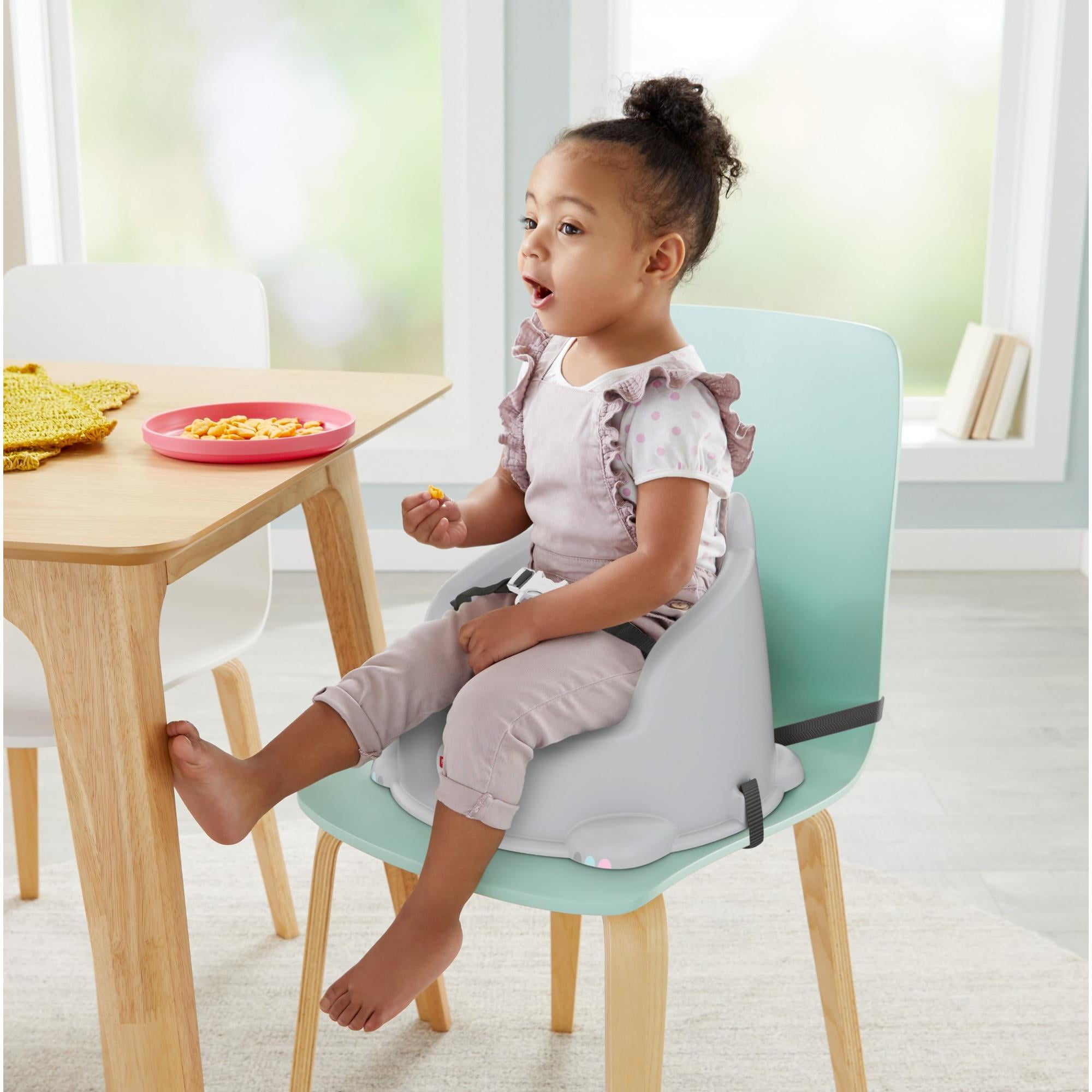 Fisher price ladybug booster hot sale