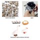 thumbnail image 1 of MODEBESO® 4pcs Ciclo de vida animal de pato, modelo de ciclo de crecimiento de insectos, figura de animales de MODEBESO MODEBESO, 1 of 2