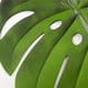 thumbnail image 5 of Tapetes de mesa con forma de hoja, 4 Uds., tapetes de comedor creativos artificiales, manteles individuales para el hogar, 5 of 8