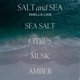 thumbnail image 2 of Difusor Reed Water Decor Sweet Water Decor Sal y Mar, 100 ml, 2 of 9