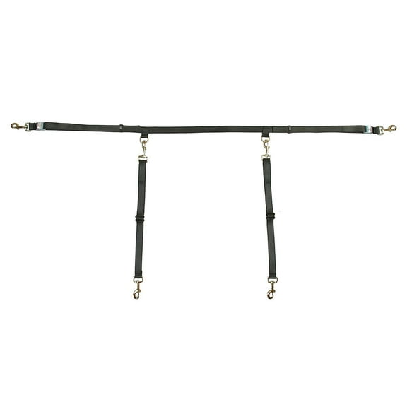 Bushwhacker - Paws n Claws Two Dog Truck Bed Cross Tether SUV Double Pet Leash Harness Vehicle Dual Restraint Lead Barrier Tie Out