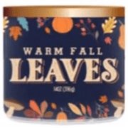 Mainstays Warm Fall Leaves Scented 3-Wick Fall Candle, 14-Ounce