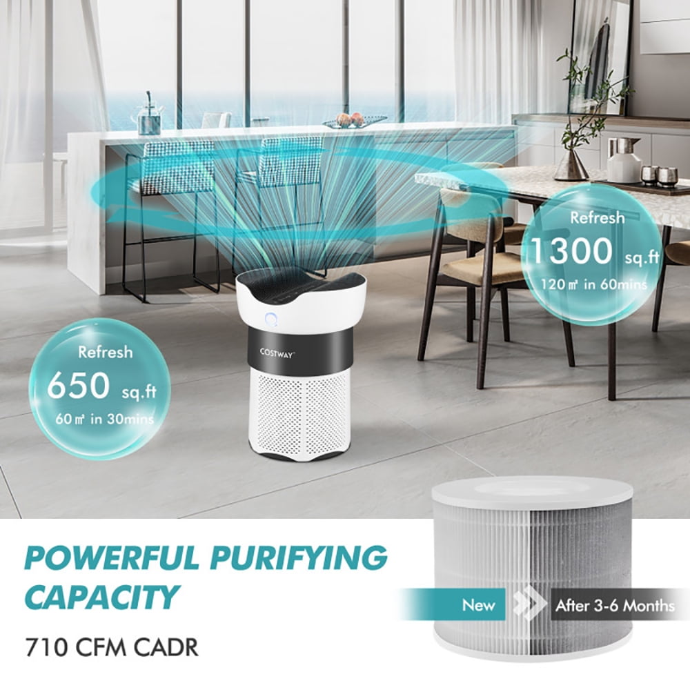 Spaco 3-in-1 H13 True HEPA Activated Carbon Air Purifier Replacement Filter, Air Purifiers for Bedroom Home, Cleaner for Sleep, Smoke, Allergies, Pet Dander, Odor, Dust, Office, Desktop, Portable
