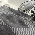 thumbnail image 3 of Livabliss Outdoor Rugs, 5x8 Eagean Global Black Area Rug for Patio, Porch, Deck, Backyard, Waterproof Indoor Outdoor Carpet (5'3" x 7'7"), 3 of 9