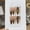 Sunset Sugar [Long Oval], variant on [Sunset Sugar] Autumn and Winter Milk Chestnut Wind Burst Champagne Gold Cat's Eye French Polka Dot Stack Diamond Wear Armor