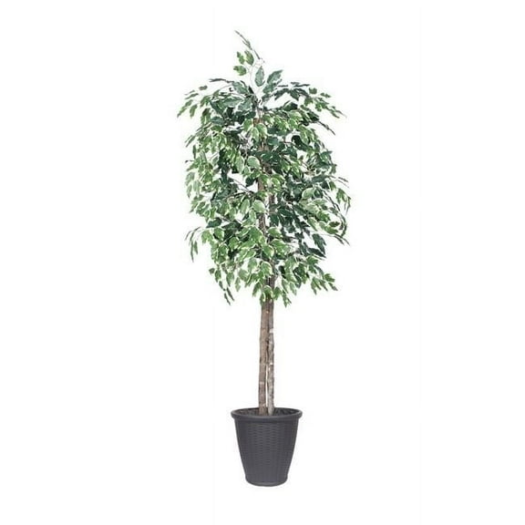 Vickerman 6' Artificial Variegated Ficus Tree, Gray Round Plastic Container