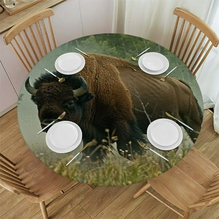 

Patifu Bison Grass Wildlife Round Table Cover Stain Resistant Washable Indoor Outdoor Tablecloth Kitchen Dining Wedding Parties Picnic Camping 100% Polyester Fiber 54-58