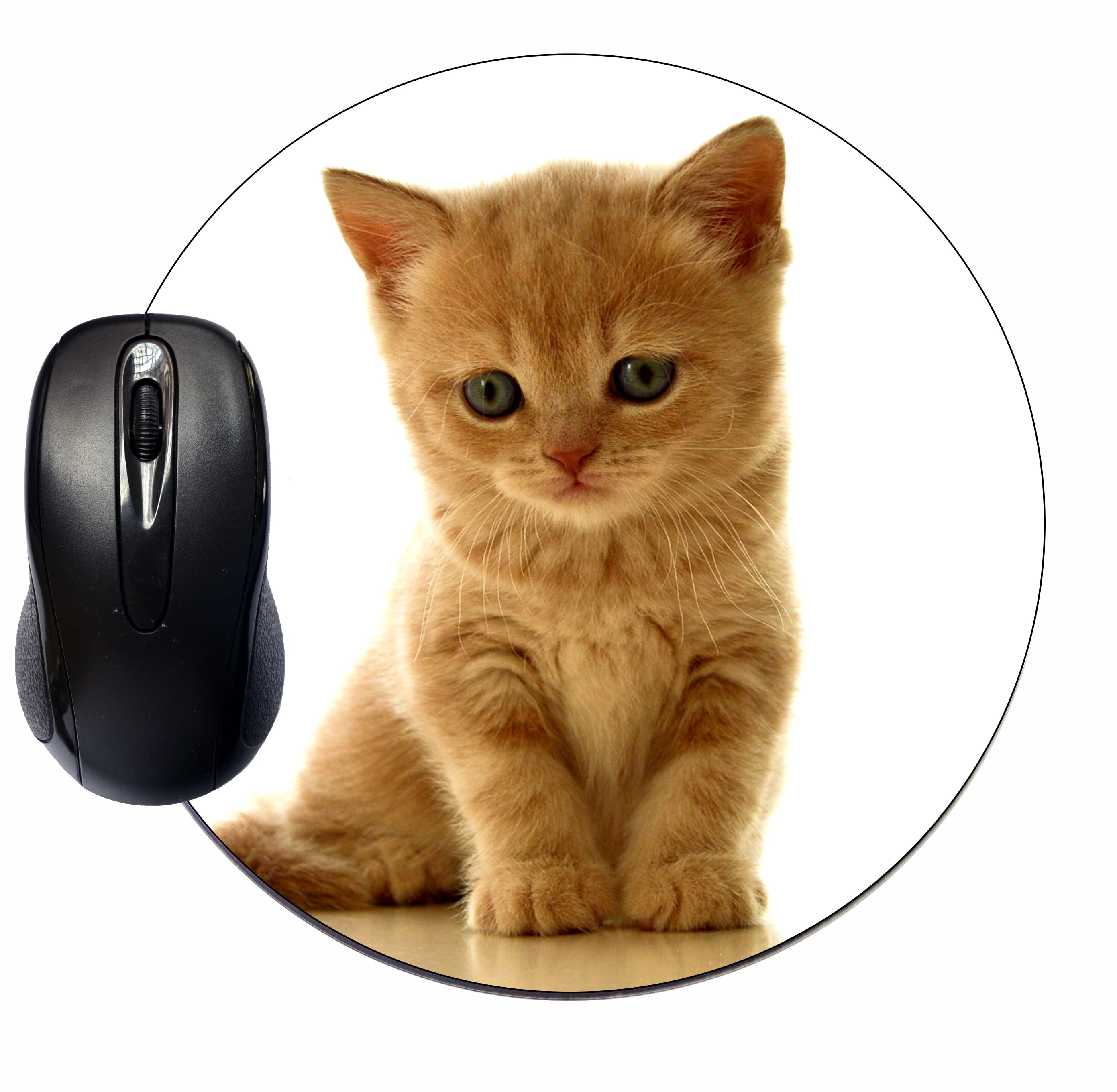 Ginger Kitten Cat Personalised Computer Mouse Mat 
