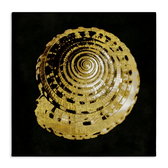 Stupell Industries Gold Spiral Shell Nautical & Beach Painting Wrapped Canvas Art Print Wall Art, 17 x 17