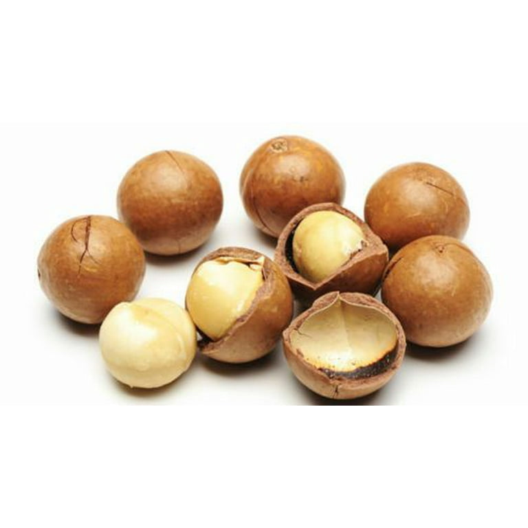 Jumbo Macadamia Nuts (In shell) - Fresh California grown (2 LB) -  Walmart.com