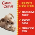 thumbnail image 4 of CANINE CHEWS 5" Chicken-Wrapped Rawhide Twist Stick Chews for Dogs (18.75 oz) |  All-Natural Long-Lasting Dental Treats For Small Dogs (125 Pack), 4 of 8