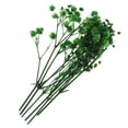 thumbnail image 6 of Real Dried Leaves Bouquet Decorative - Green, 6 of 6