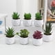 thumbnail image 2 of Nvzi 3 plantas artificiales en maceta, pequeñas plantas falsas en maceta, miniplantas artificiales de escritorio para interior, granja, oficina, mesa, estante, decoración de baño (A61), 2 of 5