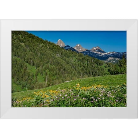 Garber, Howie 14x11 White Modern Wood Framed Museum Art Print Titled - USA-Wyoming-Geranium and arrowleaf balsamroot wildflowers in meadow west side of Teton Mountains-su