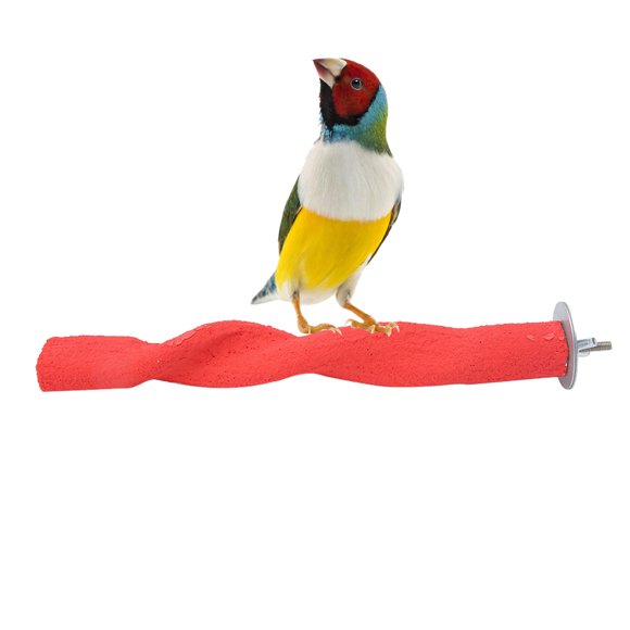 Perche d'Oiseau, Perche en Bois Perche Givrée Perche Oiseau Mâcher Jouet Solution Innovante