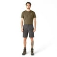 thumbnail image 3 of Dickies Men's Relaxed Fit Work Shorts, 11", Mushroom, 67, 3 of 5