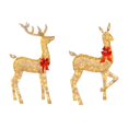 thumbnail image 1 of Renos navideños iluminados para exteriores, decoración brillante para el hogar LM, 1 of 4