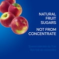 thumbnail image 4 of SunRype Pure Apple Juice 1L, 4 of 6