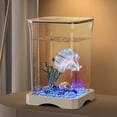 thumbnail image 3 of Tanque Reproducción Peces Rium Pequeño Paisaje Pescado Betta Alta Transparencia para El Oficina en Casa Aqua, 3 of 9