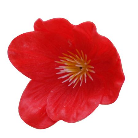 Cool Dining Table Centerpieces Fancyleo Realistic PU Artificial Poppies Flowers, Artificial poppies decorative flower for Wedding Bridal Bouquet Party Home Living Room Dining Table Centerpieces Decorations (Pack of 5) ()
