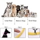 thumbnail image 3 of Collar con luz LED para perros, collar de seguridad para mascotas de longitud ajustable y recargable por USB para perros y gatos, 3 of 5