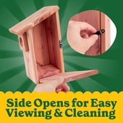 Pennington Classics Cedar Bluebird House With Predator Guard