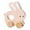 Rabbit, variant on JANGSLNG Toddlers Wooden Car Toy Animal on Wheels Vehicle Toy Push and Go First Truck Toy for Baby 12 Months 1 Year Old