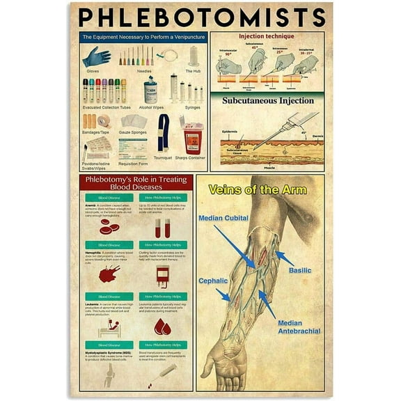 8 x 12 in Metal Tin Sign - Phlebotomists Knowledge Metal Veins Of The Arm Retro Poster Home Plaque Decor Room Office Hospital Wall Decoration Tin Sign 8x12 Inc
