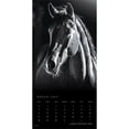 thumbnail image 3 of The Noble Horse | 2027 12x24" (Hanging) Wall Calendar | Plastic-Free, 3 of 9