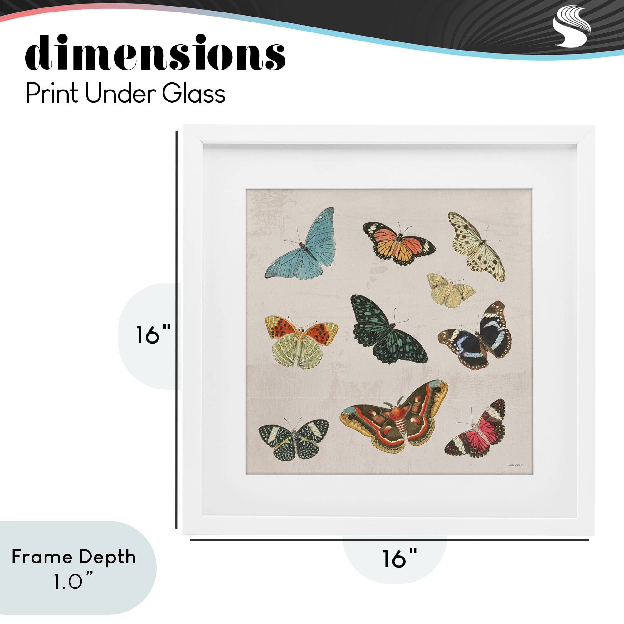 Stupell Industries Vintage Butterfly Flight White Framed Print Under Glass, design by Dan Meneely