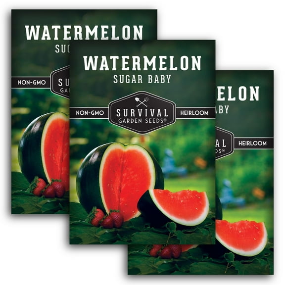 Sugar Baby Watermelon Seeds - Non-GMO Heirloom Full Sun Annual Vegetable - 3 Packs