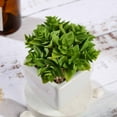 thumbnail image 6 of Efavormart Set of 3 | 4'' Assorted Green Echeveria Artificial Faux Succulent Plants Mini Green Plant In White Ceramic Pot, 6 of 11