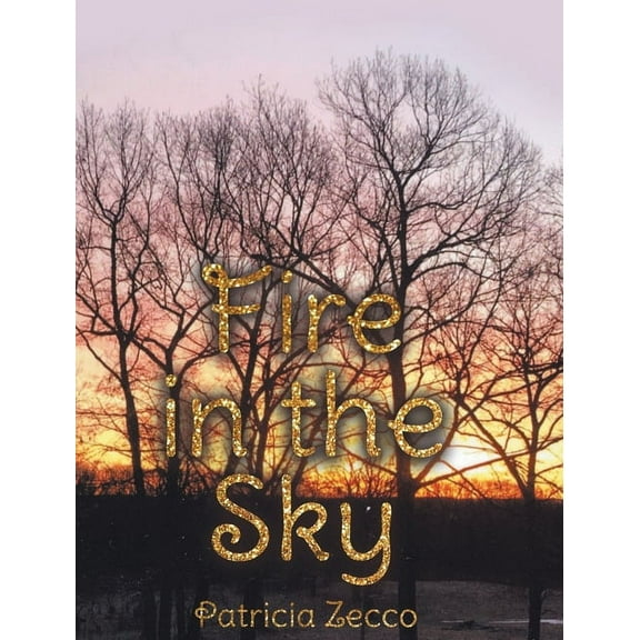 Fire in the Sky (Hardcover)