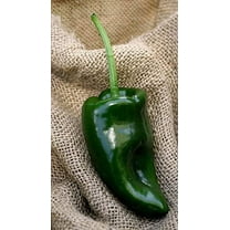 Sherwood's Seeds Poblano Ancho Chile Pepper Seeds, Heirloom Premium