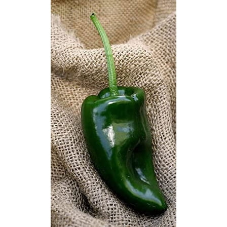 Sherwood's Seeds Poblano Ancho Chile Pepper Seeds, Heirloom Premium