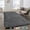 Gray, variant on Moonlight20015 Area Rug 2x3ft non-slip Soft Fluffy Shaggy for Living Room Bedroom Décor Black