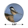 thumbnail image 3 of Black-Capped Chickadee Songbird Bird Kitchen Refrigerator Locker Button Magnet, 3 of 6